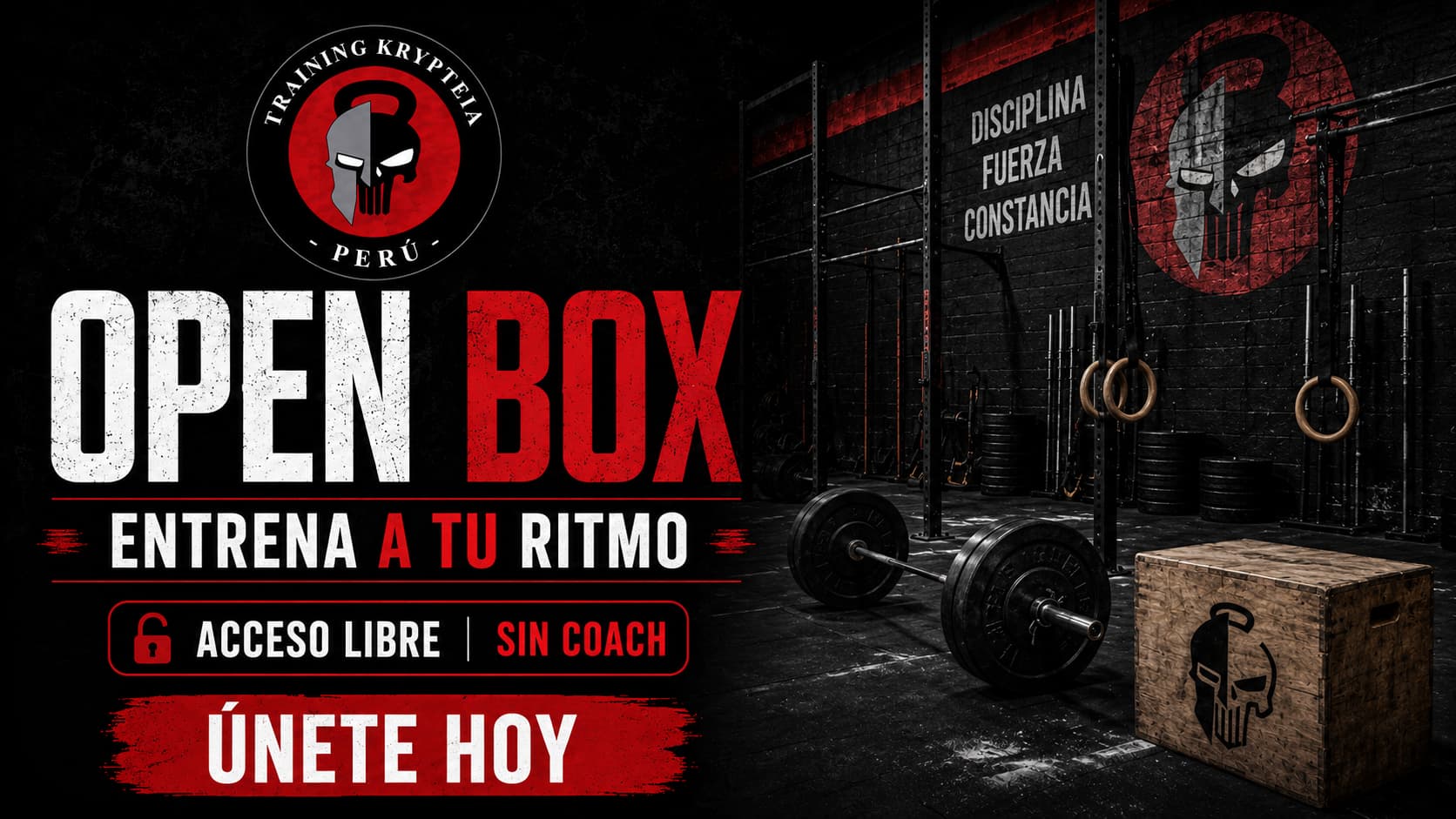 Disciplina: Open Box
